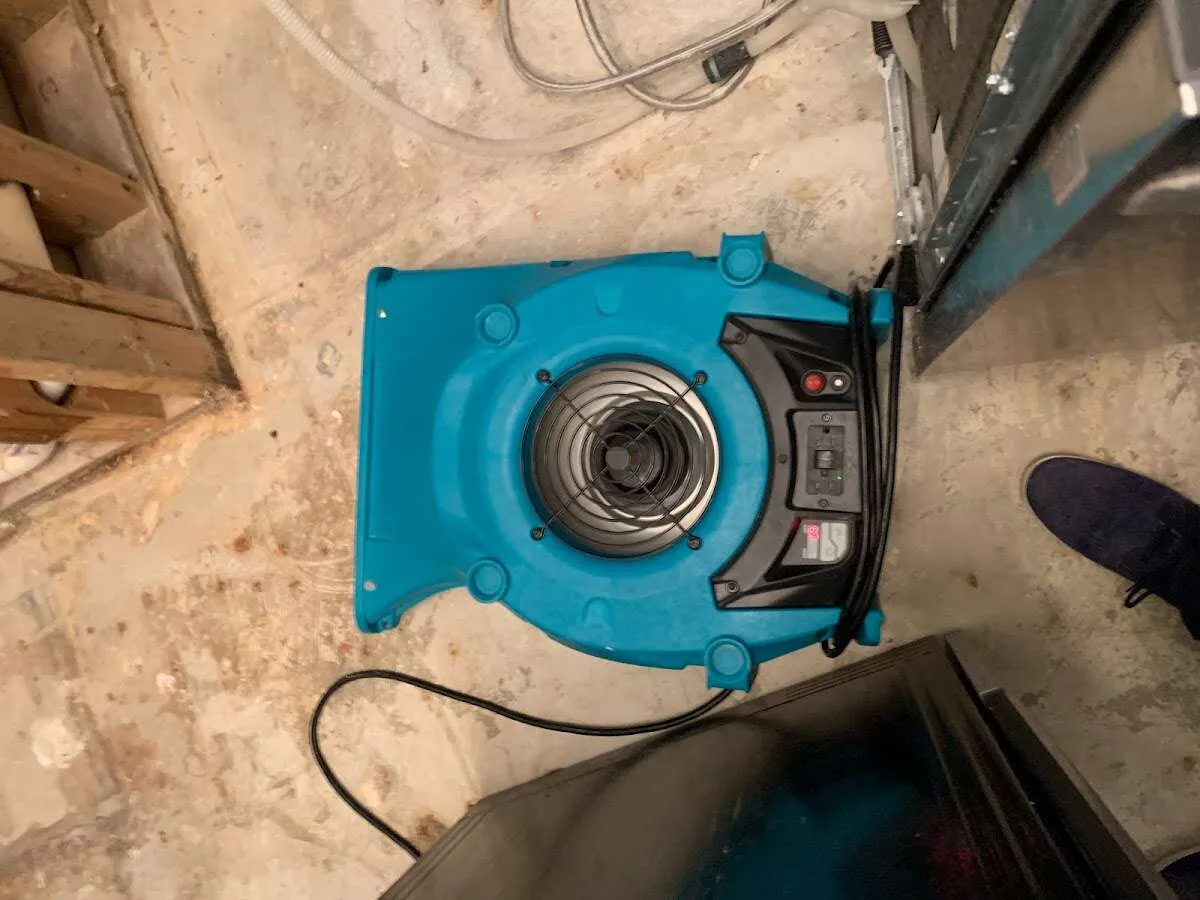 Air mover drying equipment for Mold Remediation & Removal in Kenmore
