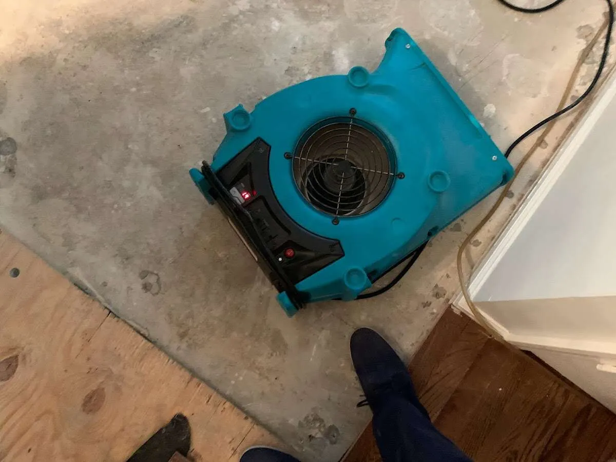Air mover drying subfloor during Leak Detection & Repair in Kenmore